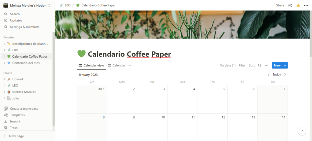 notion para organización digital